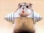 1126_da_.Men.At.Gym