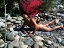alemastel1