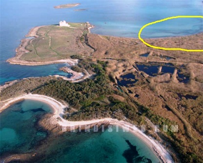 Tutti A Torre Guaceto Per La Pulizia Delle Spiagge